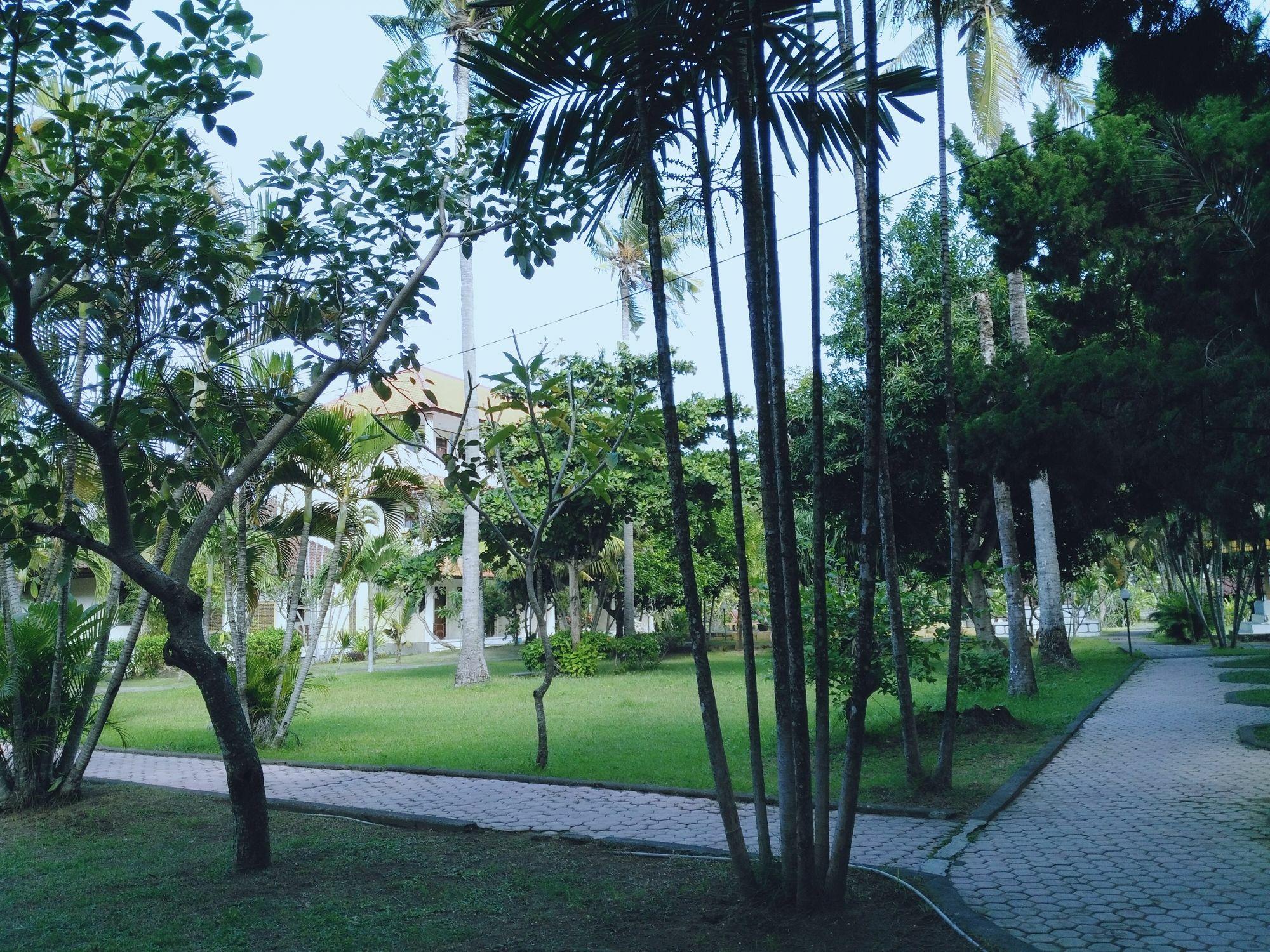 Mekar Jaya Bungalows Kuta Lombok Esterno foto