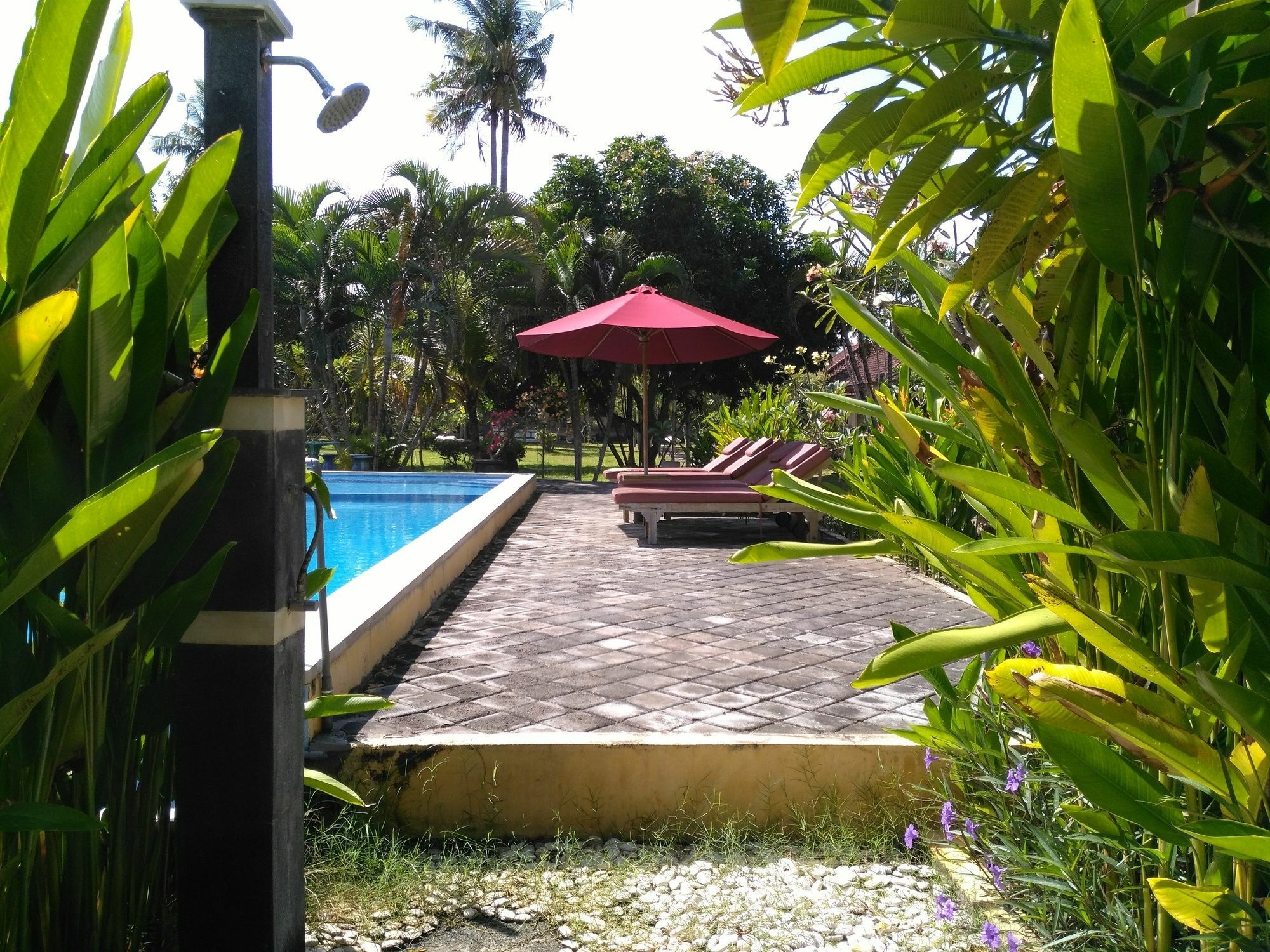 Mekar Jaya Bungalows Kuta Lombok Esterno foto